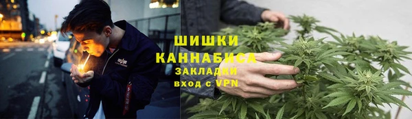 сатива Гусиноозёрск
