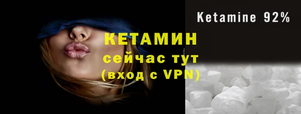 сатива Гусиноозёрск