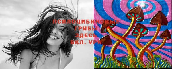 МДМА Гусев