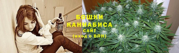 сатива Гусиноозёрск