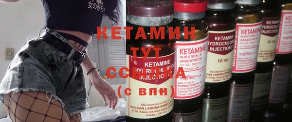 сатива Гусиноозёрск