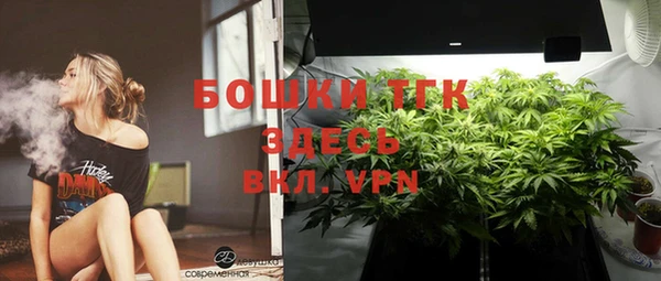 сатива Гусиноозёрск