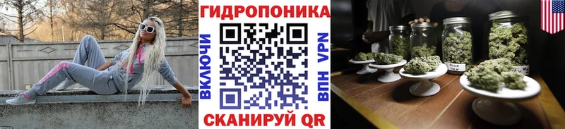 Купить где  Старая Русса  МАРИХУАНА White Widow 